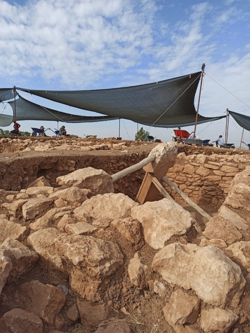 Harran Üniversitesi, Dünya Tarihine Yön Verecek Çalışmalarda Aktif Rol Alıyor
