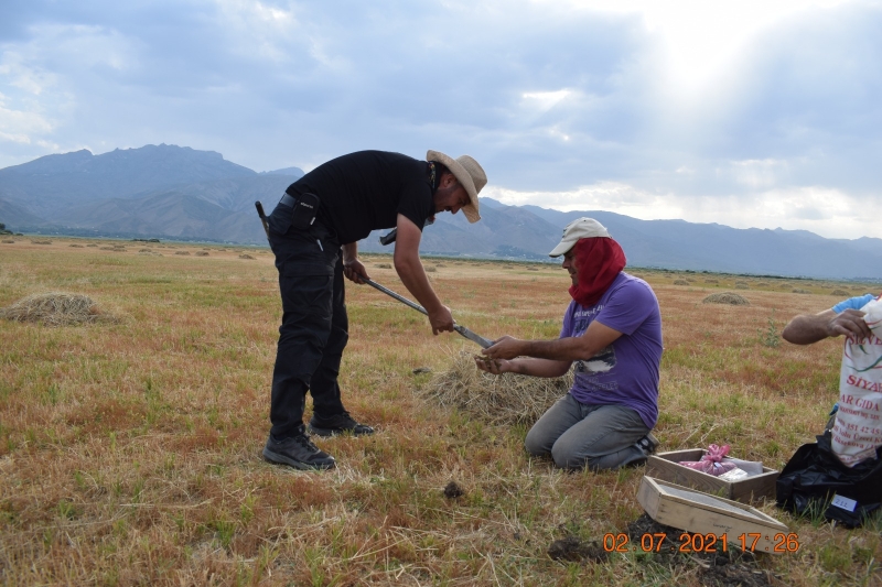 Harran Üniversitesi’nin Pamuk Verimi ile İlgili Projesi, TÜBİTAK Tarafından Kabul Edildi