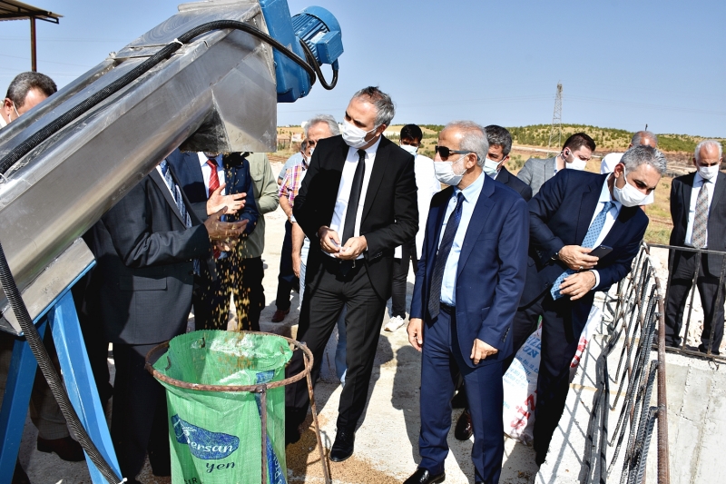 Harran Üniversitesi’nde Zeytin, Nar ve Fıstık Kabuğu Atıklarından Hayvan Yemi Üretim Tesisi Hizmete Girdi