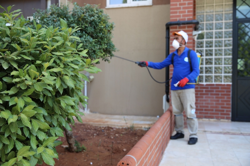 Haşere ile mücadelye devam...