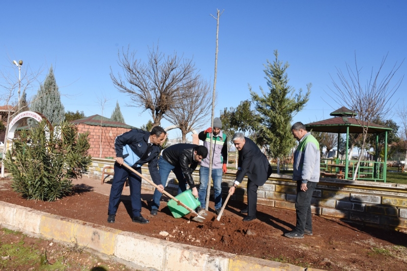 Hilvan’da yeşillendirme çalışmaları devam ediyor