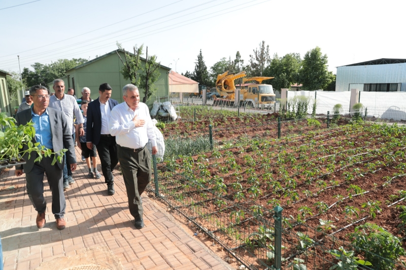 Hobi Bahçesi sakinlerine isot fidesi dağıttı