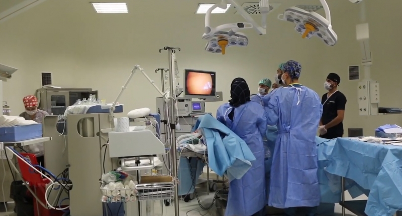 Hollandalı Gurbetçi Vatandaş sağlıgına urfada kavuştu