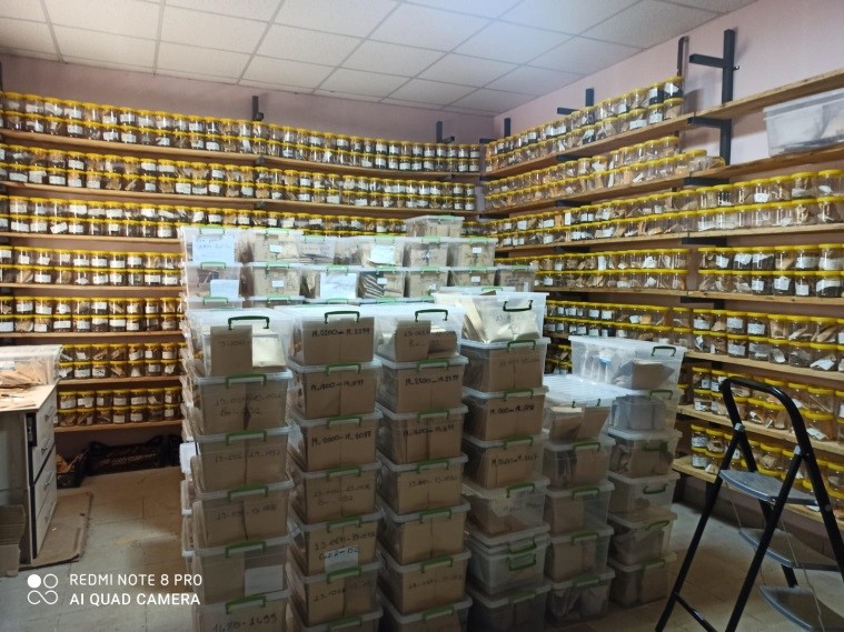 HRÜ’de GAP Bölgesi Nohut Genetik Kaynakları Koruma Altına Alınarak Gen Bankası Oluşturuldu