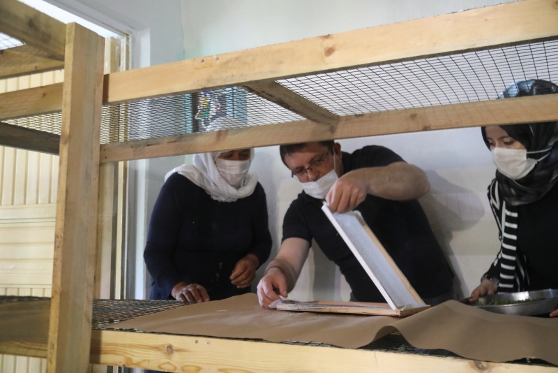 İpekböcekçiliği için çiftçiye destek