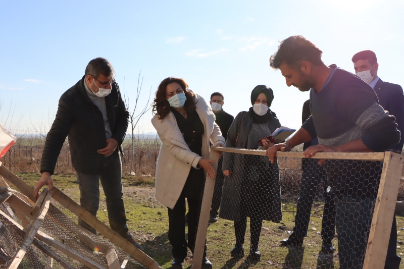 İPEKBÖCEKÇİLİĞİ İÇİN 77 ÇİFTÇİNİN MÜRAACATI İNCELENİYOR