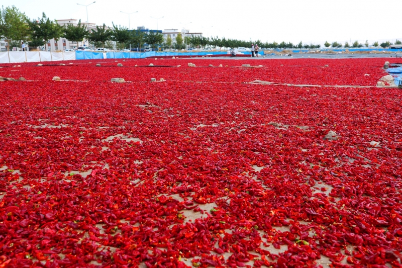 isot üreticileri için Müjdeli Haber
