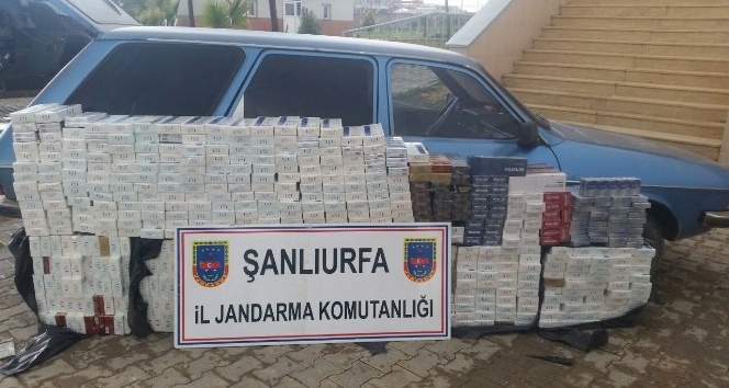 Jandarmadan kaçak sigara operasyonu