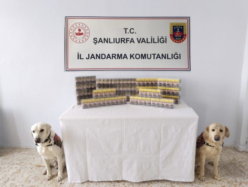 Kaçak sigara ve tütün ele geçirildi