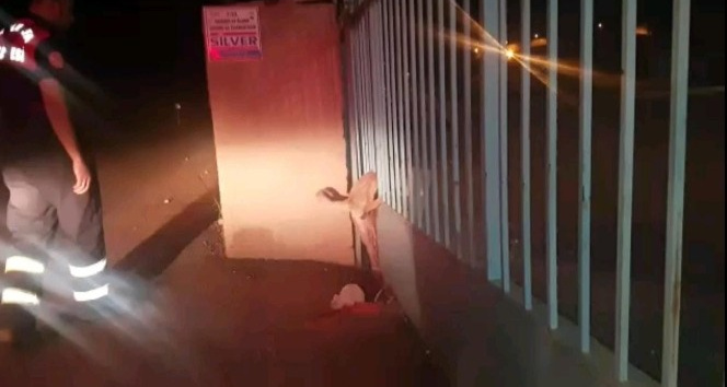 Kapının demir parmaklıklarına sıkışan köpeği itfaiye ekipleri kurtardı