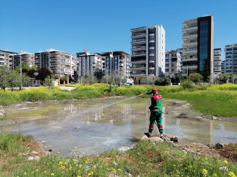 KARAKÖPRÜ SİNEKSİZ BİR YAZ İÇİN İLAÇLANIYOR