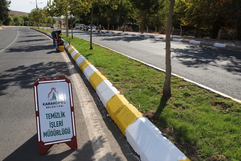 KARAKÖPRÜ'DE BORDÜR BOYAMA VE YENİLEME ÇALIŞMASI YAPILDI