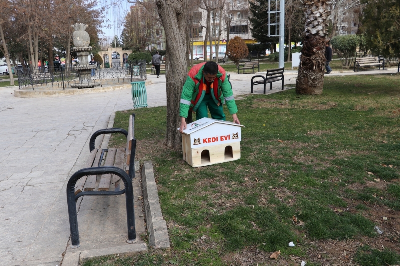 KARAKÖPRÜ’DE KEDİLERE SICAK YUVA