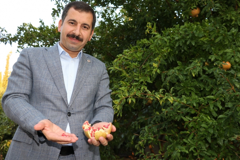 KARAKÖPRÜ’DE KEDÜP KURULUYOR