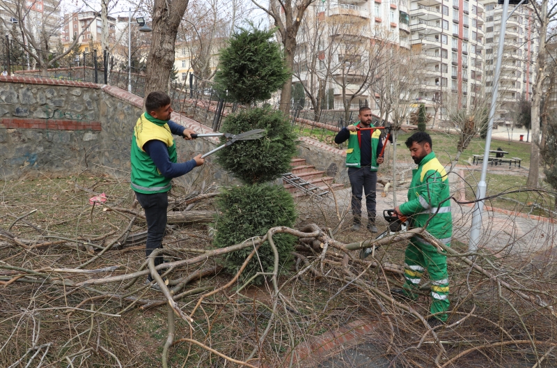 KARAKÖPRÜ’DE PARKLARDA BAKIM VE AĞAÇ BUDAMA ÇALIŞMALARI YAPILIYOR