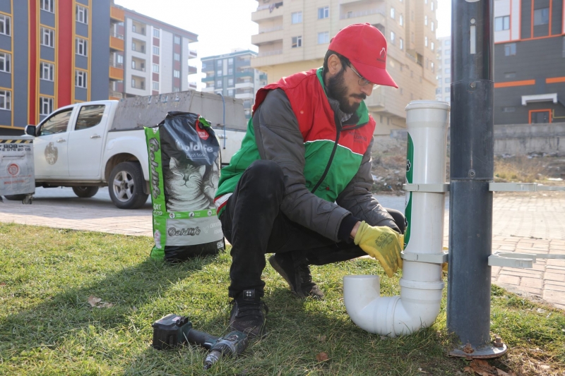 KARAKÖPRÜ'DE SOKAKTAKİ CANLAR AÇ KALMIYOR