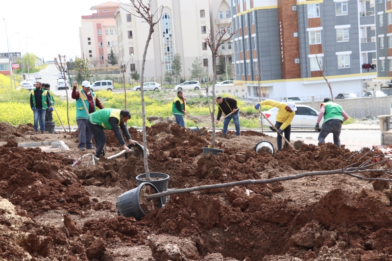 KARAKÖPRÜ'DE YEŞİL ALAN SAYISI ARTIYOR