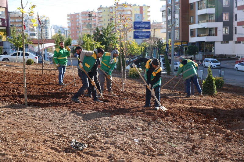 ​KARAKÖPRÜ'DE YEŞİL ALAN DÜZENLEME ÇALIŞMALARI SÜRÜYOR
