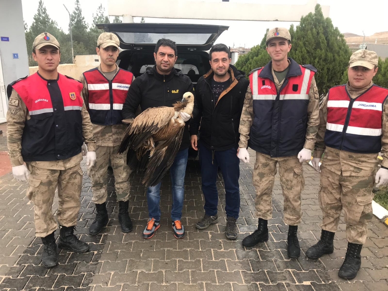 KIZIL AKBABAYA JANDARMA YARDIMI