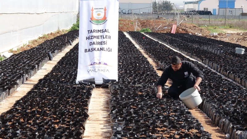 MİNİK ELLER TOPRAĞA DEĞER YARINLARIMIZ YEŞERİR