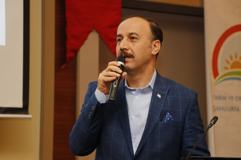 Pamuk Hasadına Hata  Affedilmeyecek