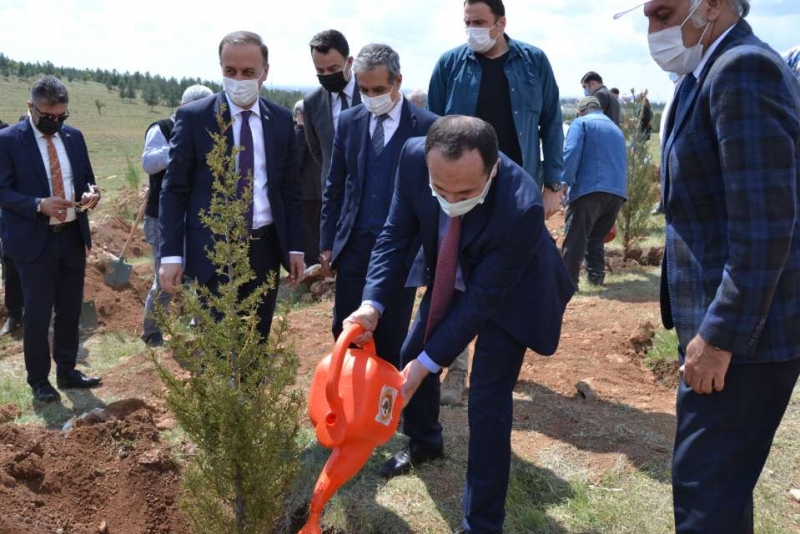Pandemi sürecinde hayatını kaybeden sağlık çalışanları anısına ağaç dikim töreni gerçekleştirildi.