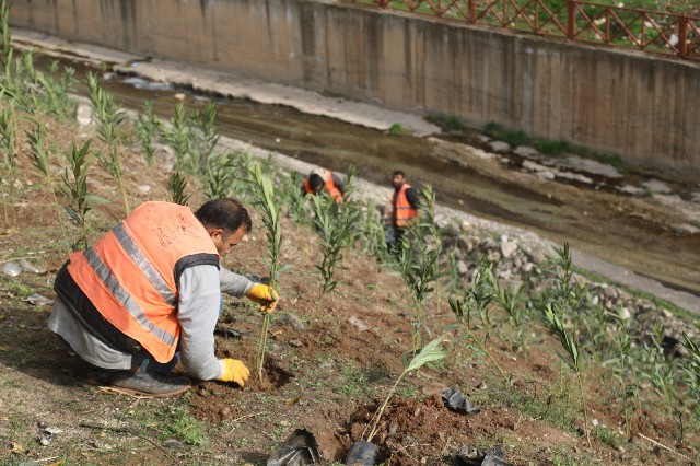 ŞANLIURFA BAHARLA BİRLİKTE RENGÂRENK ÇİÇEKLER AÇACAK