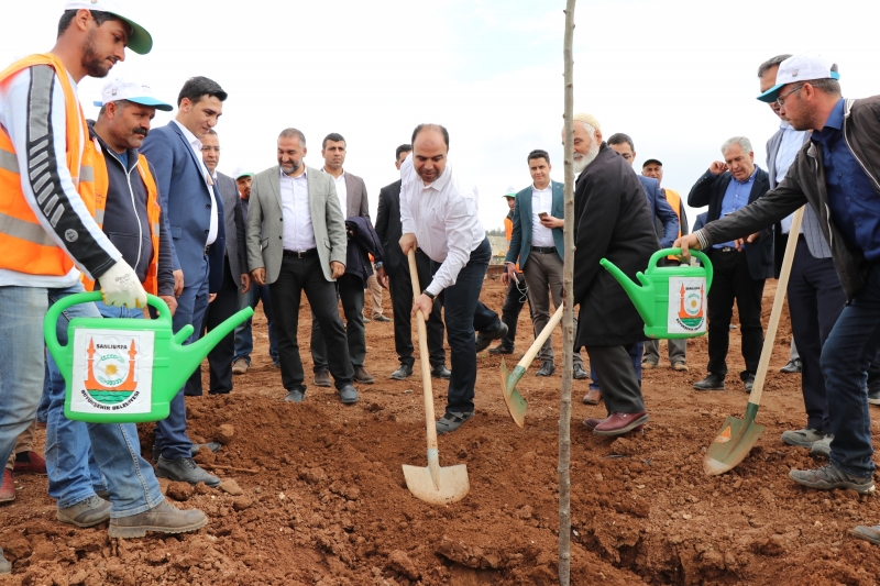 Şanlıurfa Tarihinin En Büyük Yeşil Alan Atağı Son 4 Yılda  Gerçekleştirildi