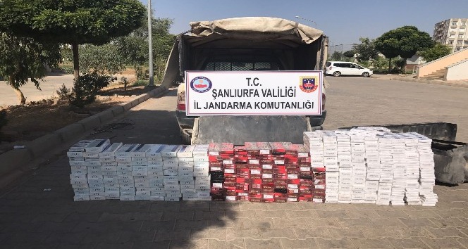Şanlıurfa’da 18 bin paket kaçak sigara ele geçirildi