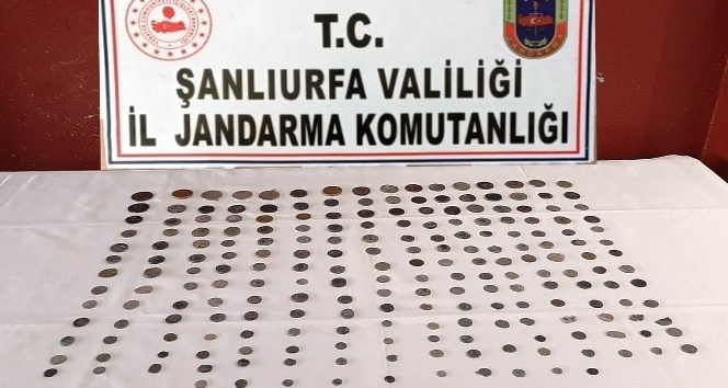 Şanlıurfa’da 210 sikke ele geçirildi