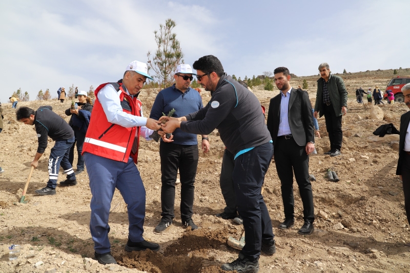 Şanlıurfa’da GARD Ormanı İçin Fidanlar Dikildi.