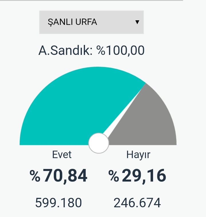 Şanlıurfa'da resmi olmayan sonuçlara göre Evet %70,84