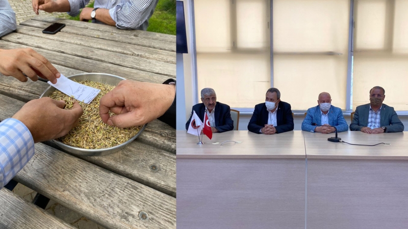 Şanlıurfa’da sezonun ilk arpa hasadı yapıldı