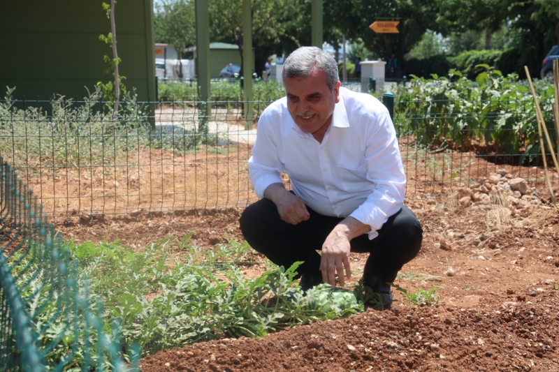 ŞANLIURFA’DA SICAKTAN BUNALANLARIN ADRESİ HOBİ BAHÇELERİ VE BELEDİYE HAVUZLARI OLDU