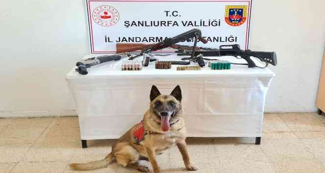Şanlıurfa’da silah ve mühimmatı ele geçirildi