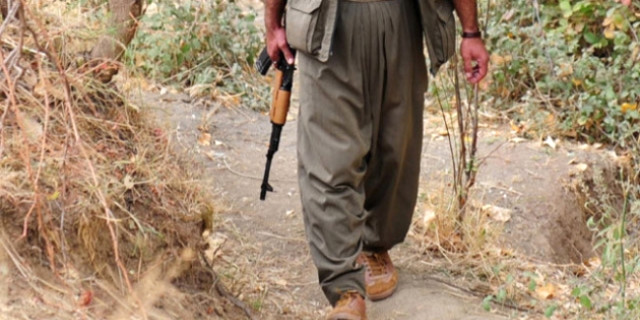 Şanlıurfa'da Yol Kontrolünde Terörist Yakalandı