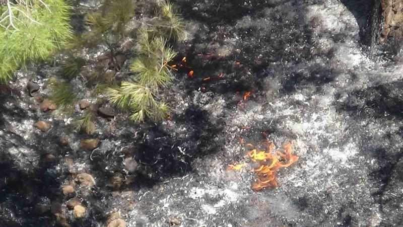 Şanlıurfa’daki yangında 3 dekarlık alan zarar gördü..