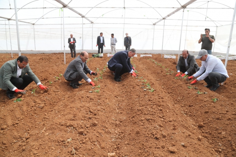 SERA KENTDE FİDELER TOPRAKLA BULUŞTU