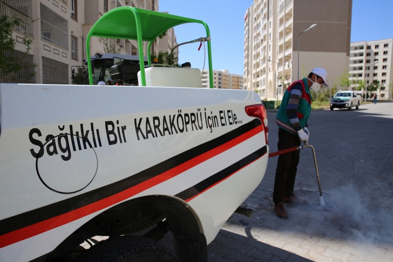 Seyrantepe’de (Toki Maşuk) Kapsamlı İlaçlama