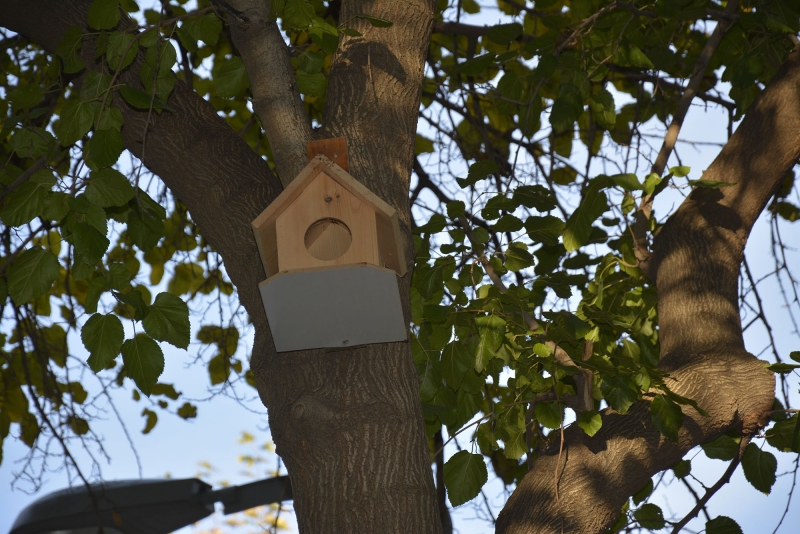 Siverek Belediyesi’nden örnek davranış