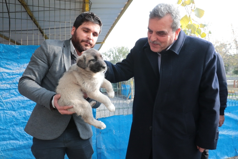 SOKAK HAYVANLARI REHABİLİTASYON MERKEZİ İNŞAATI YÜKSELİYOR