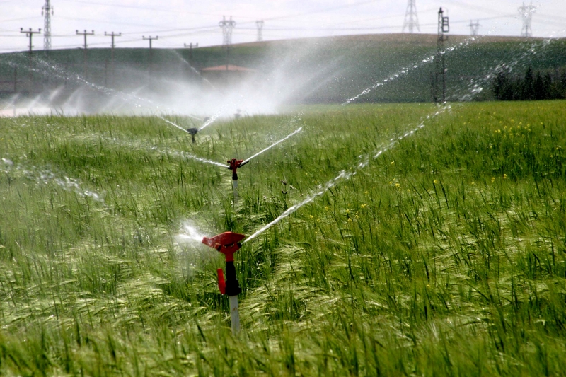 Suruç Ovası Pompaj Sulaması Projesi tamamlandığında 190 bin kişiye istihdam sağlayacak