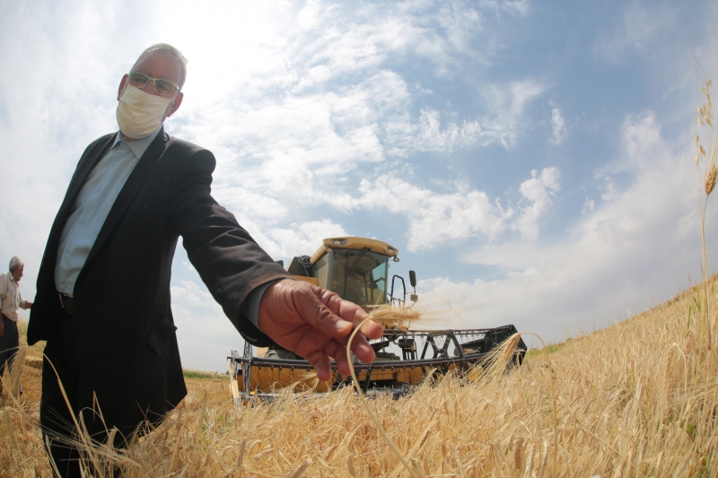 SURUÇ’TA HUBUBAT HASADI BAŞLADI.