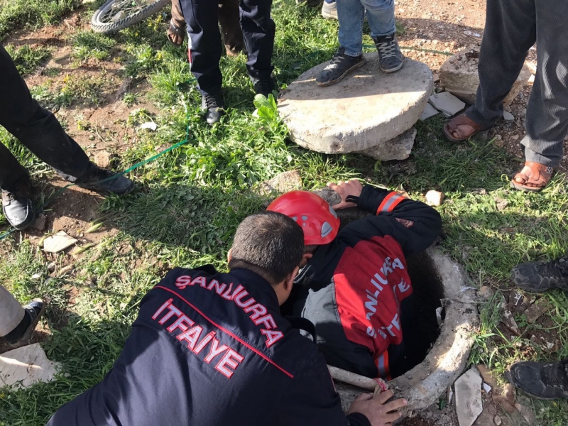 Talihsiz Keçi Logara Düştü ( video )