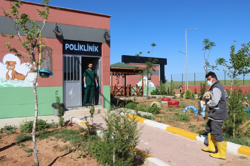 TAM TEŞEKKÜLLÜ HAYVAN HASTANESİ VE REHABİLİTASYON MERKEZİ HİZMETE BAŞLADI