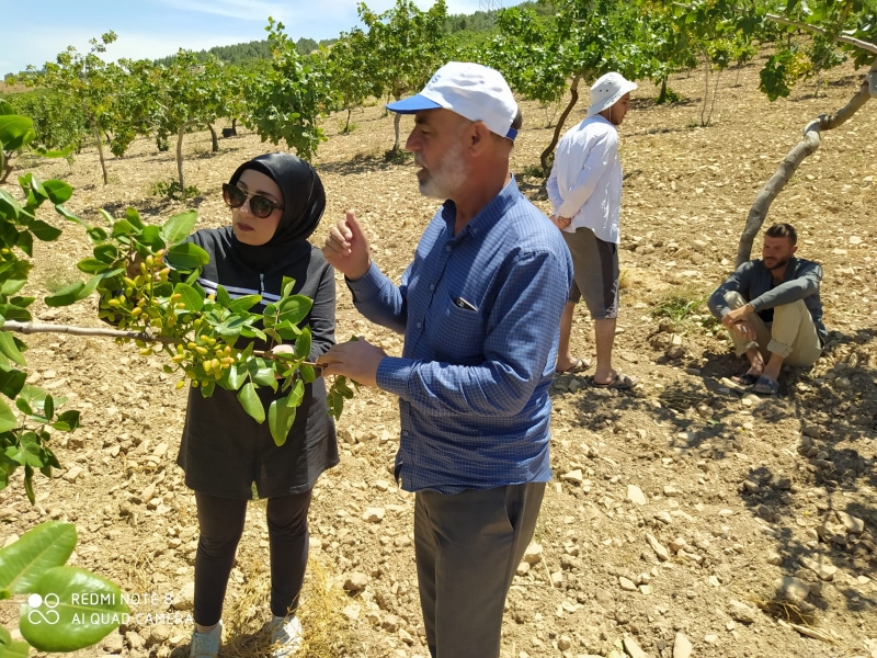 TARIMDA ÜRETİM BAYRAM BOYUNCA DA DEVAM ETTİ.
