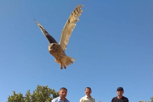 Tedavileri tamamlanan kuşlar doğaya salındı