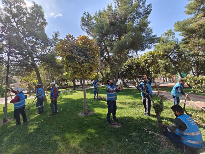 Tılfındır Parkı Görenleri Büyülüyor