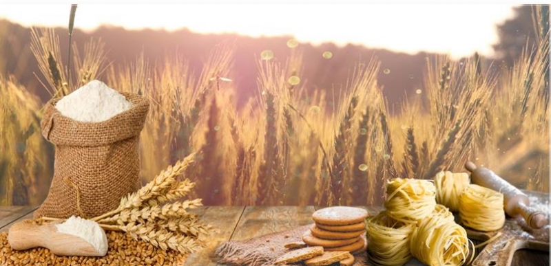 TÜRKİYE UN İHRACATINDA BİRİNCİ SIRADA