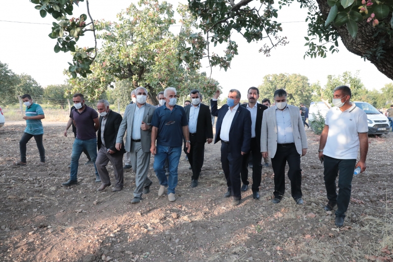 URFA FISTIĞI HASADI BAŞLADI